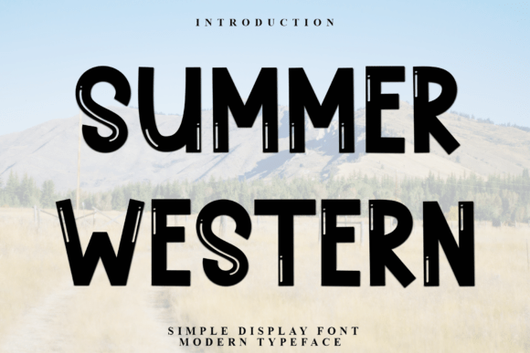 Evaluating the Summer Western Font for Design Projects