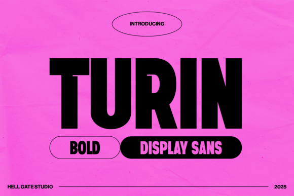 Turin Bold Display Sans: A Practical Evaluation for Modern Typography